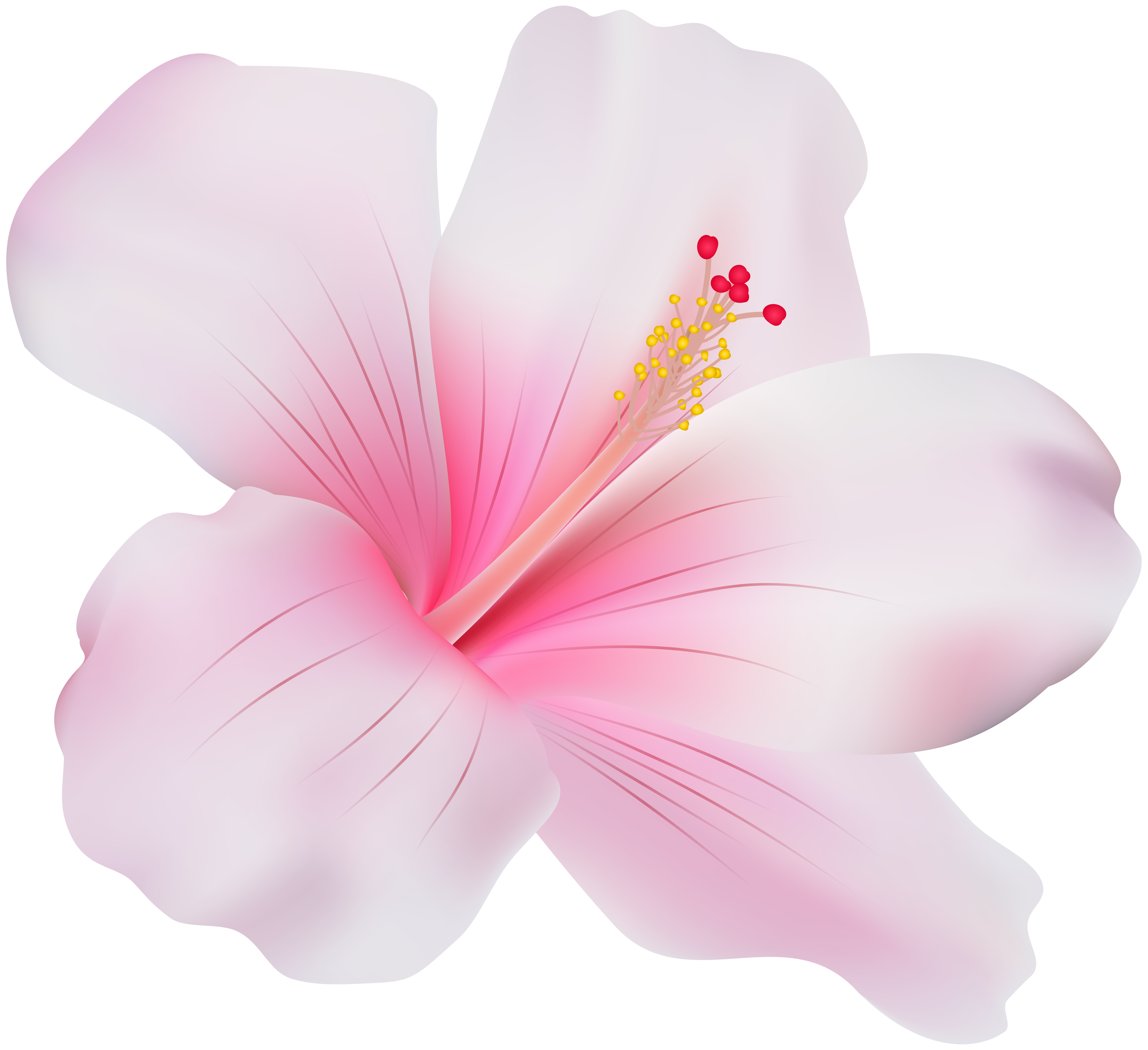 Exotic Pink Flower Download Free PNG