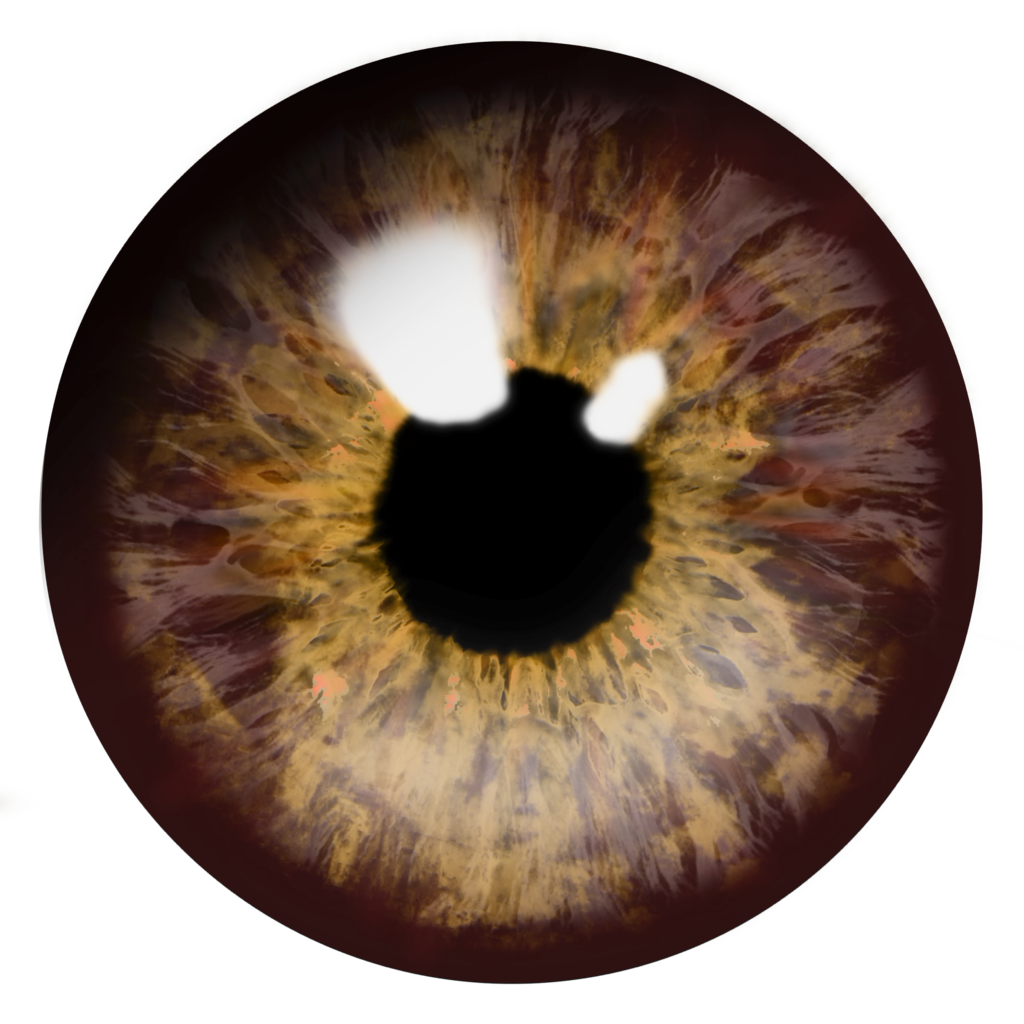 Eye Brown Yellow Background PNG Image