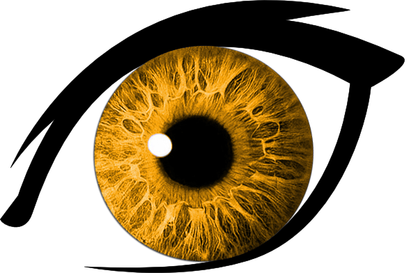Eye Brown Yellow Transparent Background