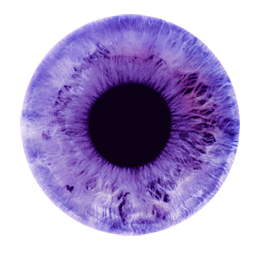 Eye Purple No Background