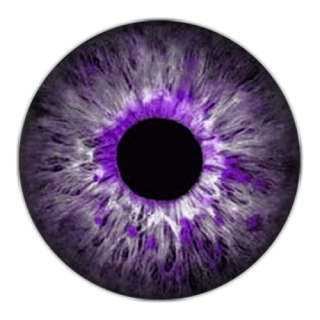 Eye Purple PNG Photos