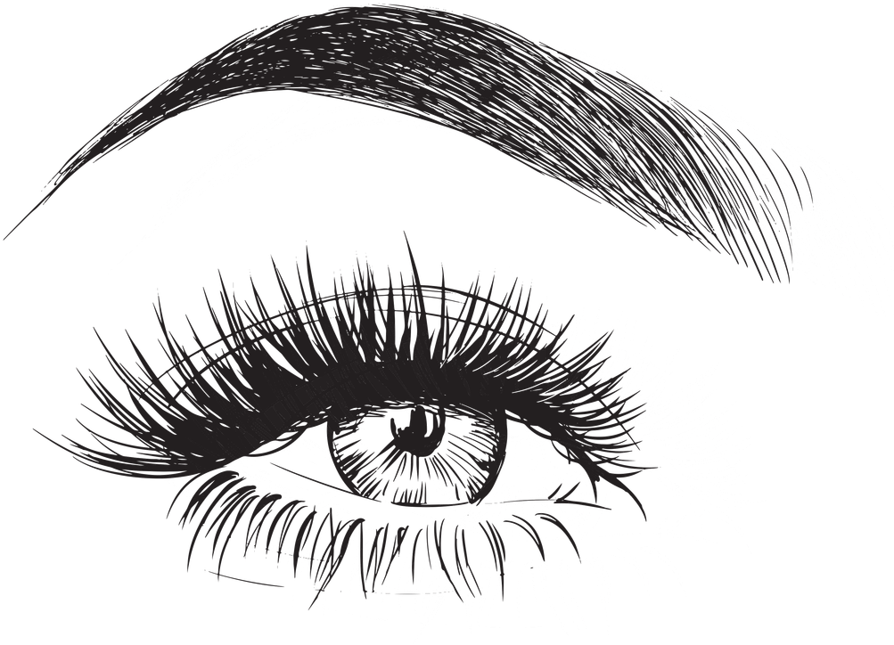 Eyelashes And Eyebrows Transparent Free PNG