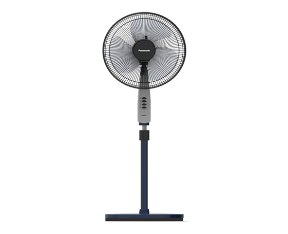 Fan Standing PNG Photos