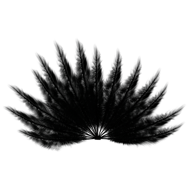 Feather Black Free PNG
