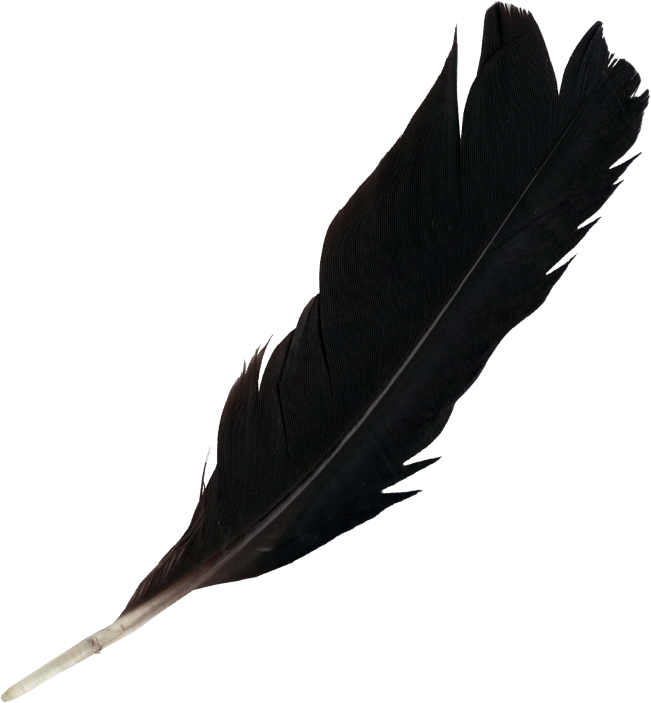 Feather Black PNG Free File Download