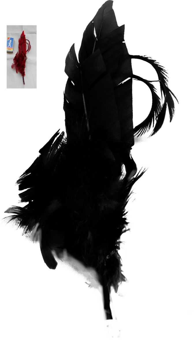 Feather Black PNG Photo Image
