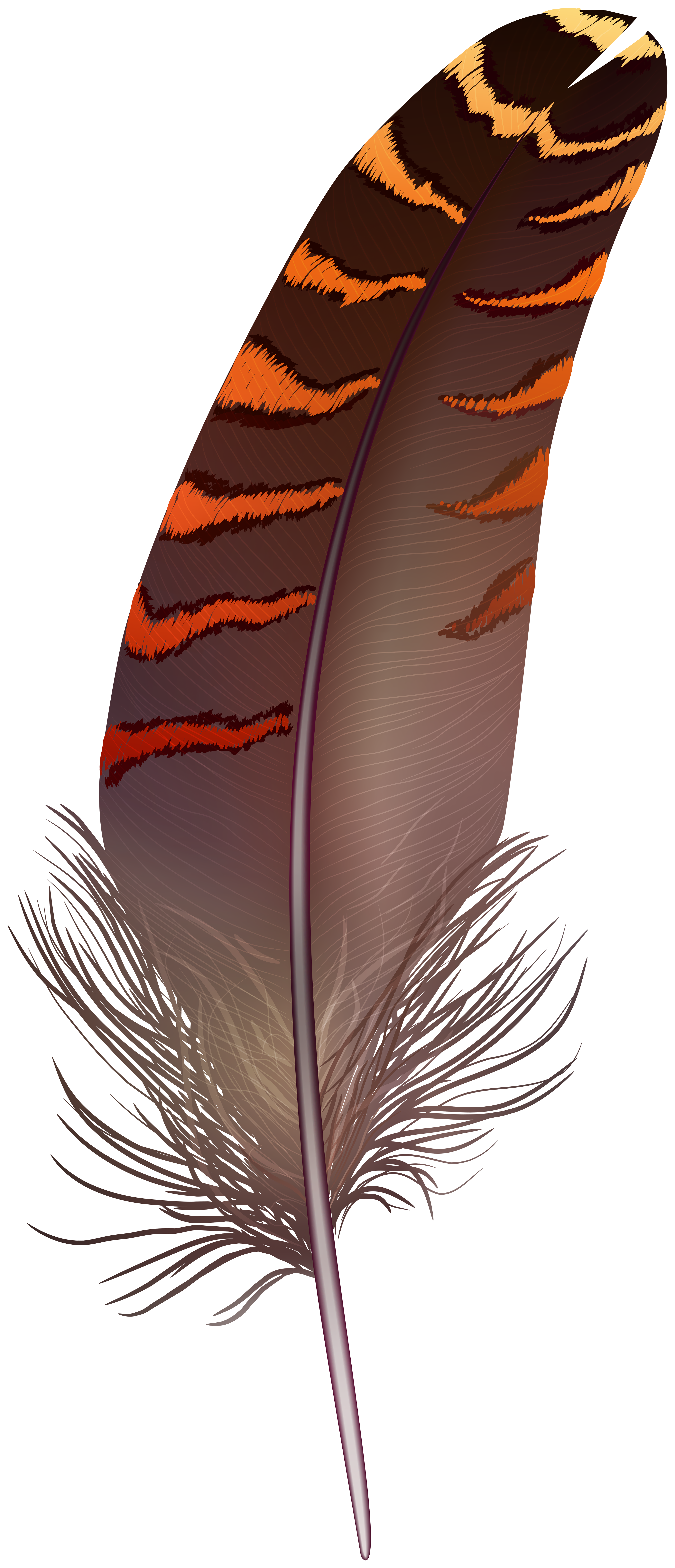 Feather Brown Background PNG Image