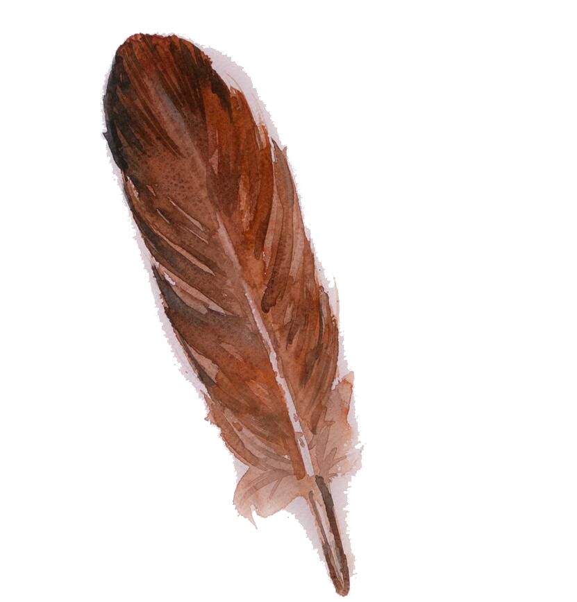 Feather Brown Free PNG