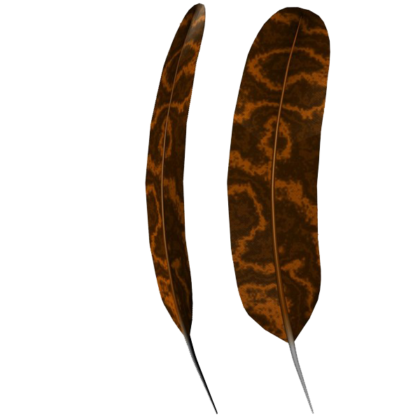 Feather Brown PNG Background