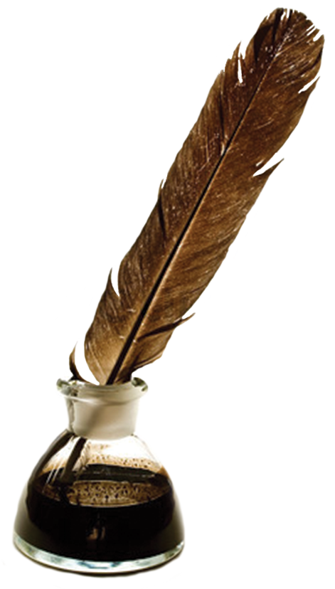 Feather Brown PNG HD Quality
