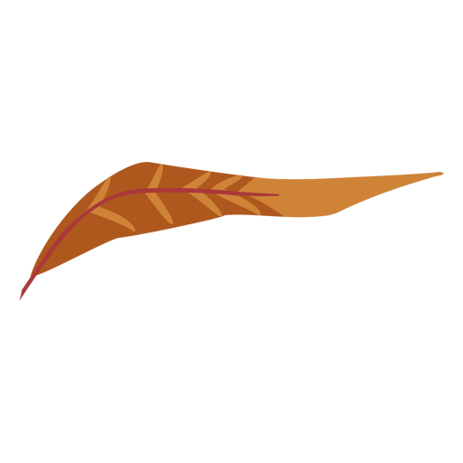 Feather Brown Transparent File