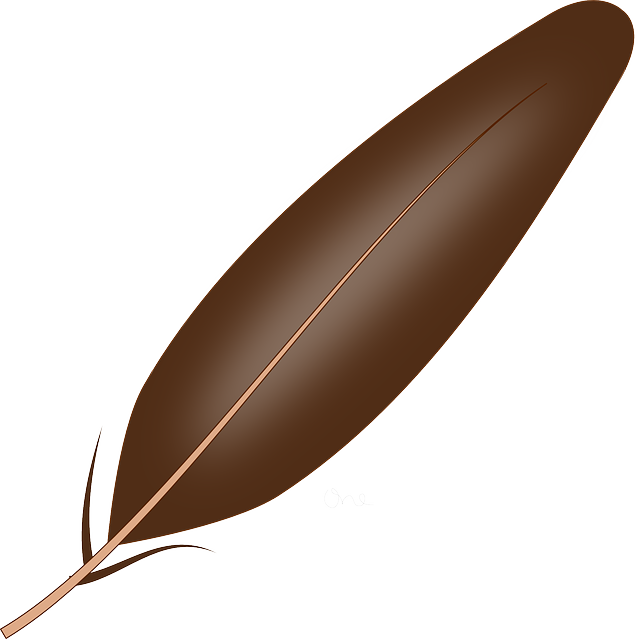 Feather Brown Transparent Images