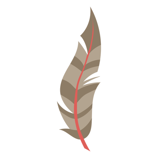 Feather Brown Transparent PNG
