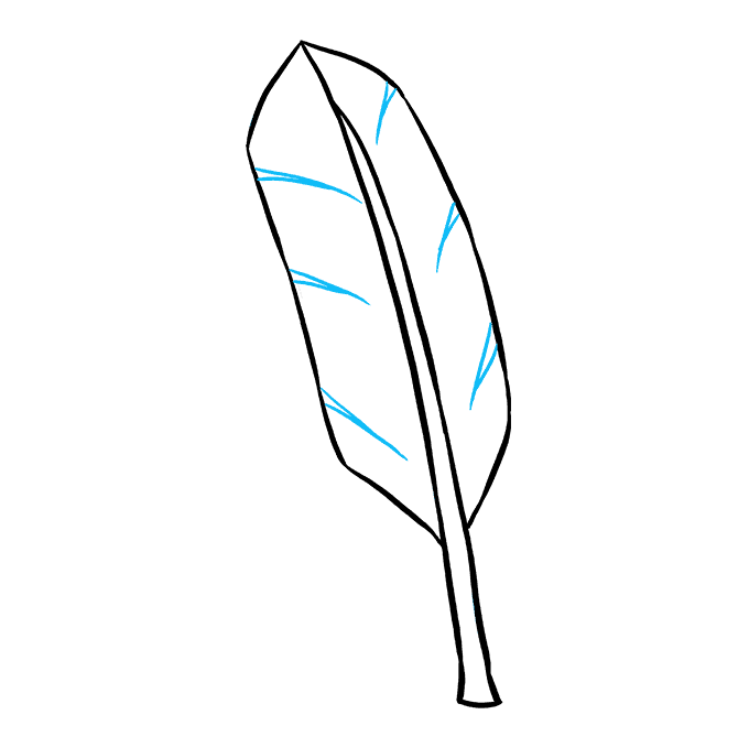 Feathers Drawing Transparent PNG