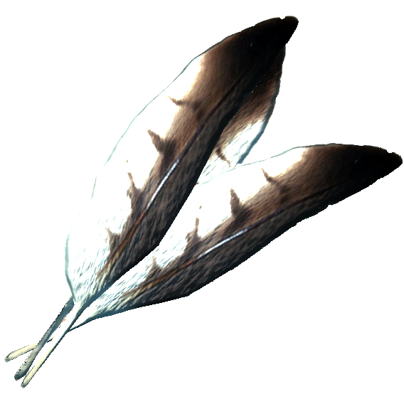 Feathers Transparent Images