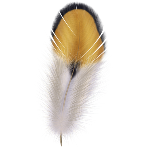 Feathers Transparent PNG