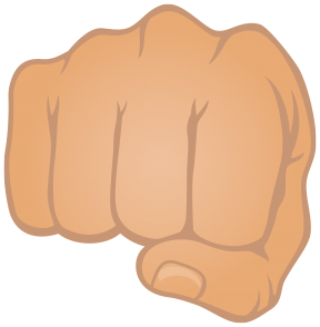 Fist Hand PNG Photo Image