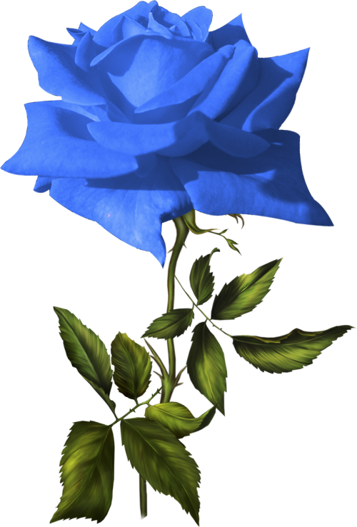 Flower Blue PNG Background