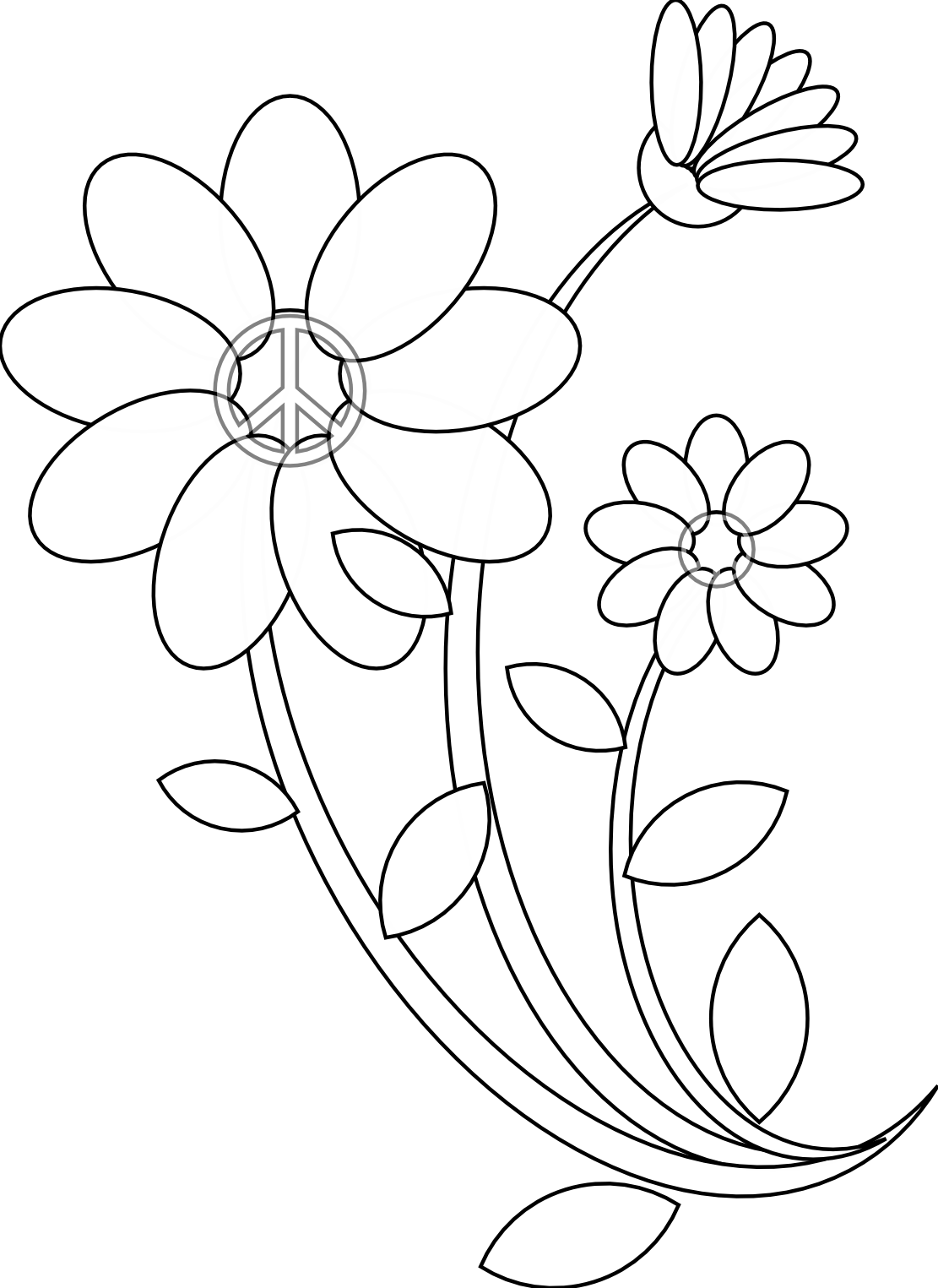 Flower Drawing Free PNG