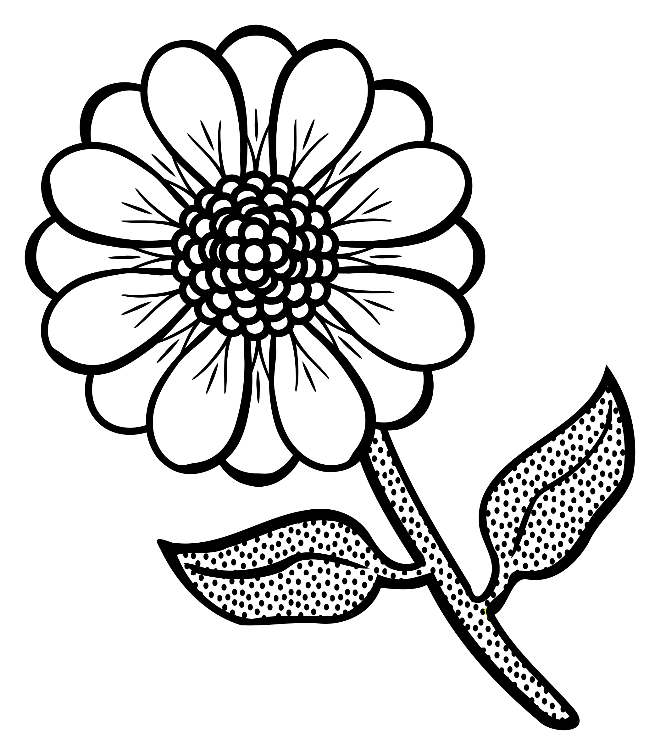 Flower Drawing Transparent Image