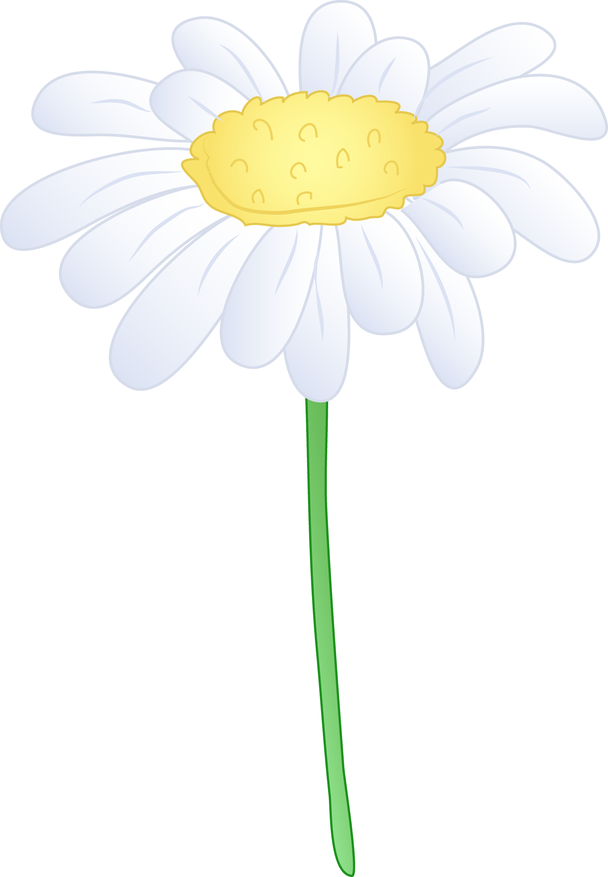 Flowers Daisy White Yellow Background PNG Image