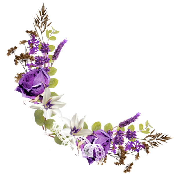 Flowers Purple Curve Transparent Free PNG