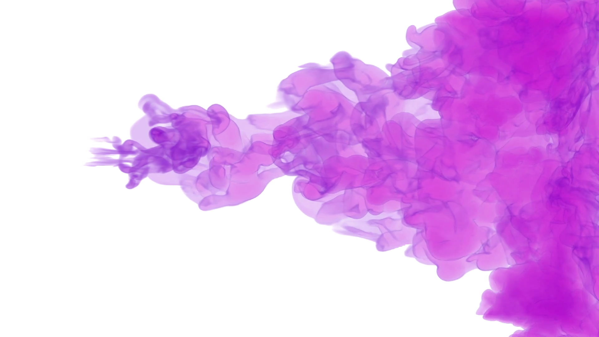 Flowers Purple Curve Transparent Images