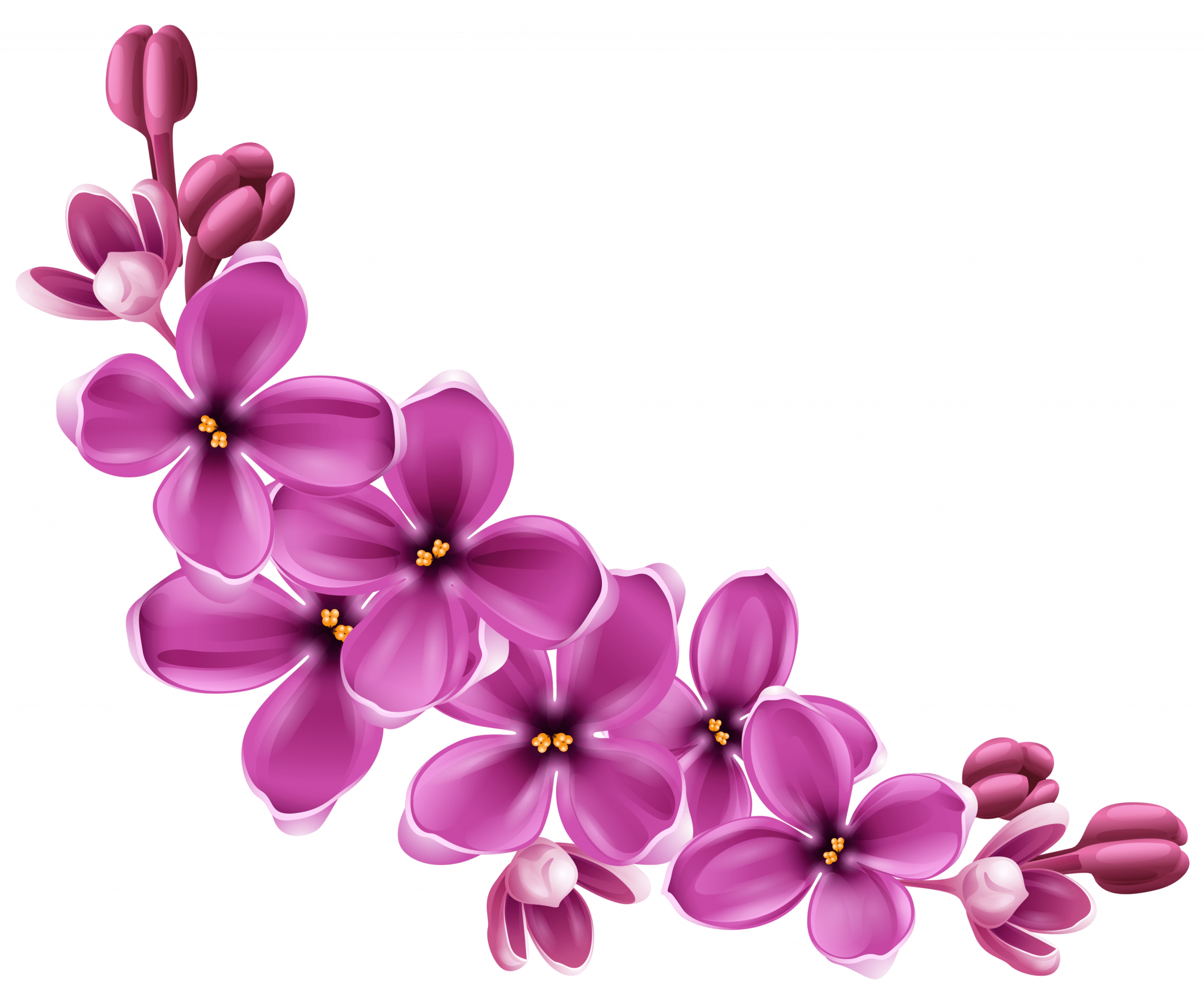 Flowers Purple Curve Transparent PNG