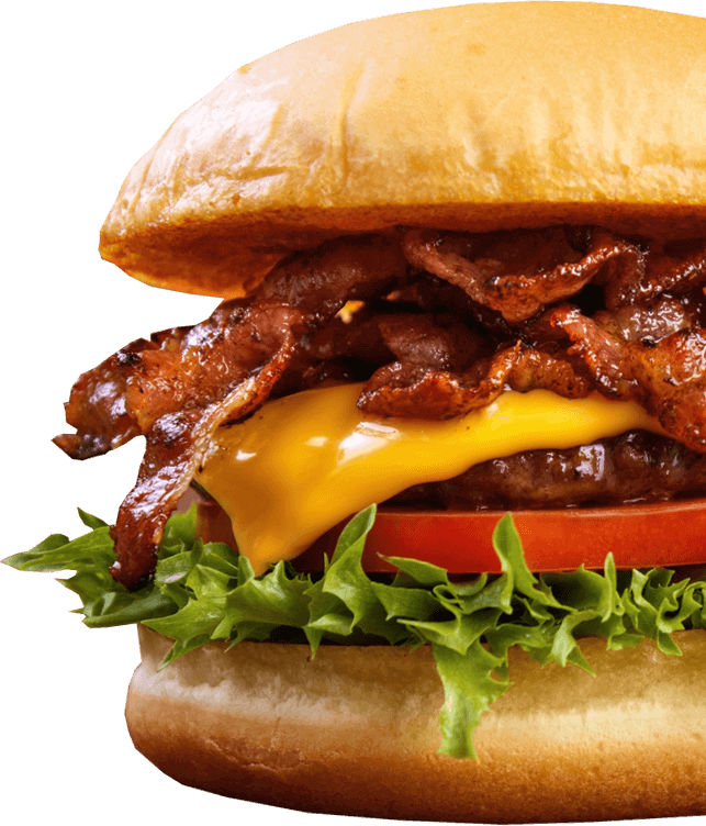 Food Burger PNG Free File Download