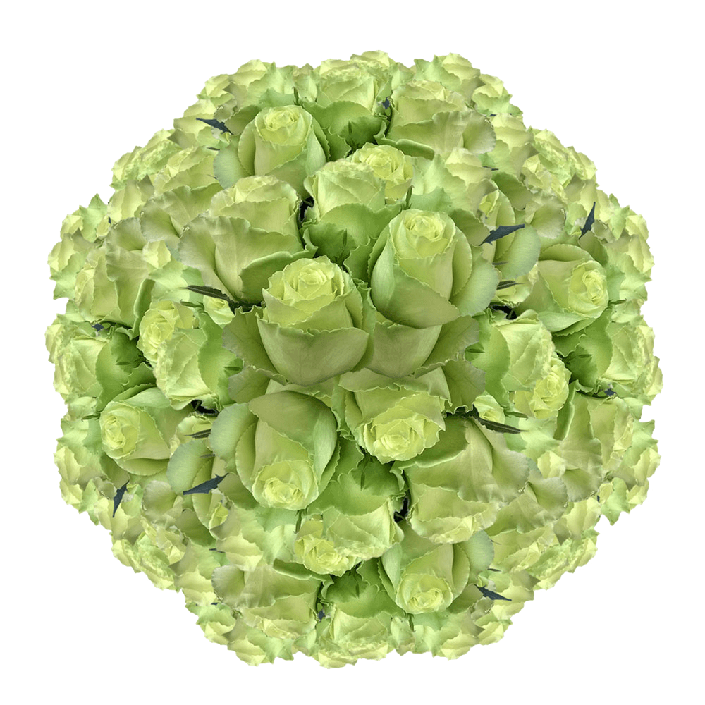 Fresh Bouquet Free PNG