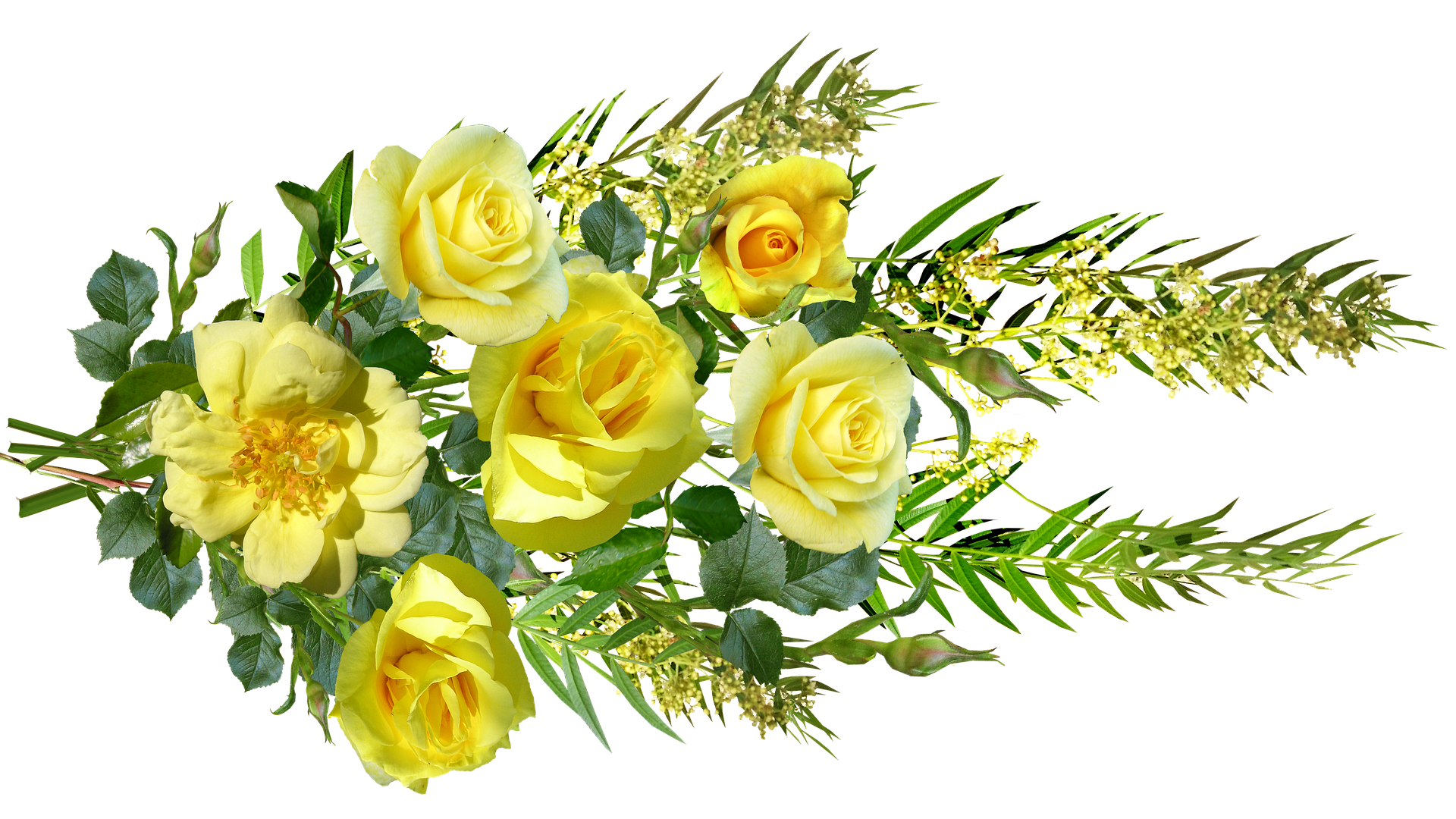 Fresh Bouquet PNG Free File Download
