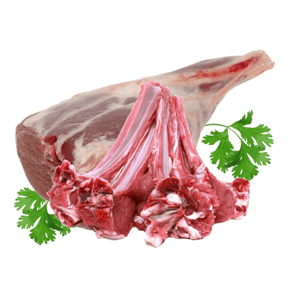 Fresh Meat Download Free PNG