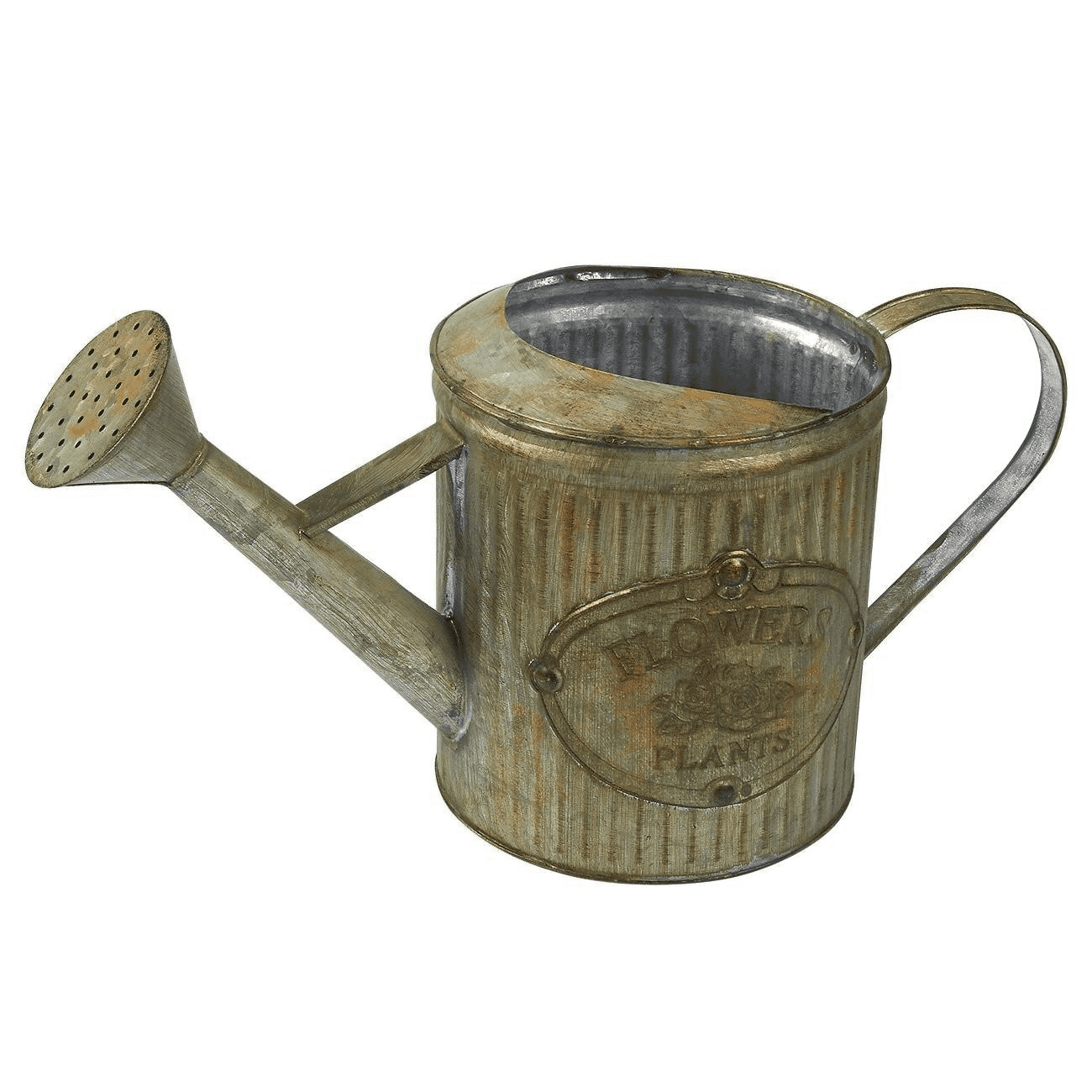 Galvanised Watering Can Free PNG
