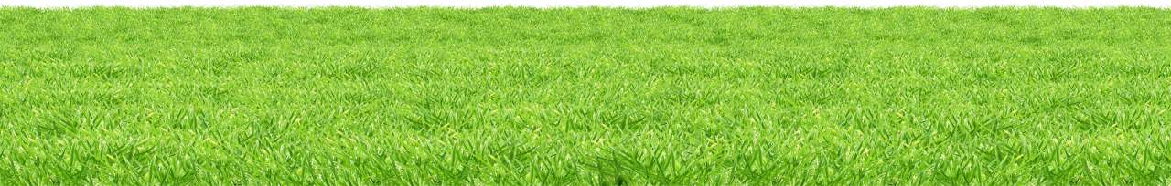 Grass Surface Background PNG Image