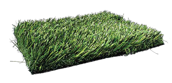 Grass Surface PNG HD Quality