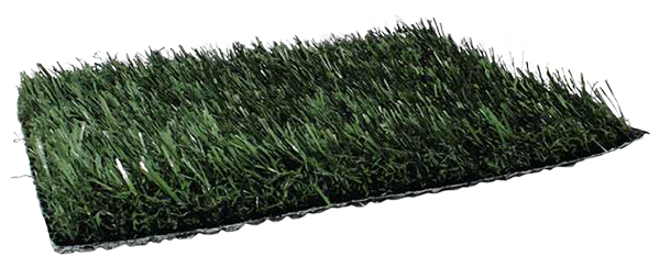 Grass Surface Transparent Background