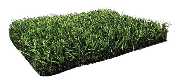 Grass Surface Transparent Free PNG