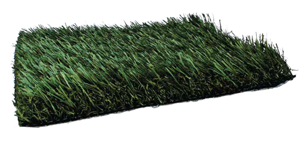 Grass Surface Transparent PNG