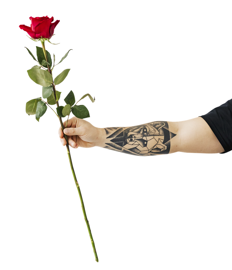 Hand Rose Free PNG