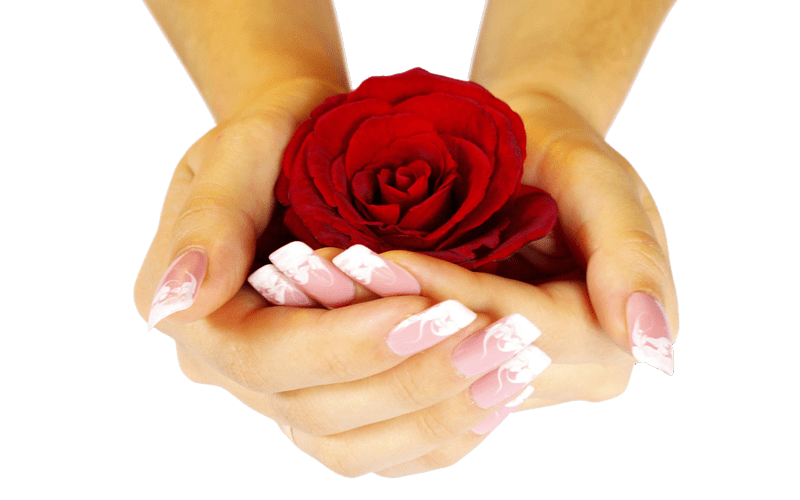 Hand Rose Transparent Free PNG