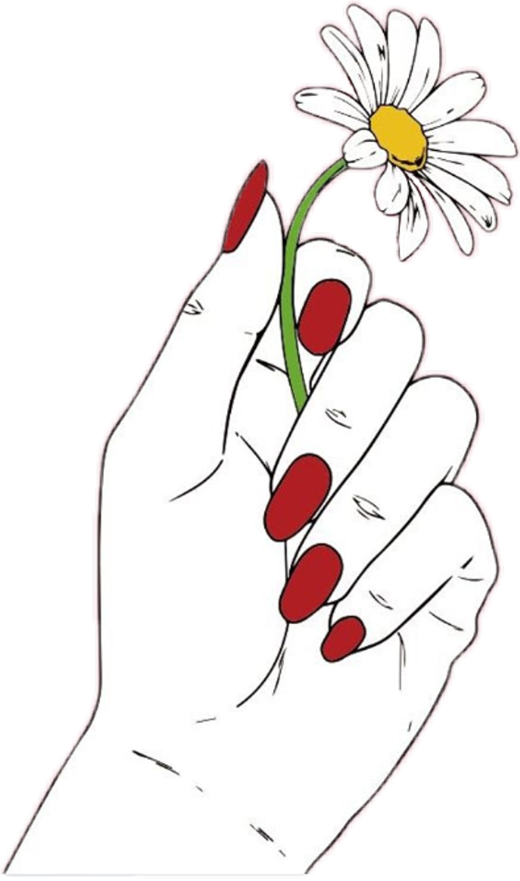 Hand Rose Transparent Image