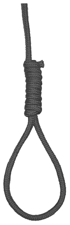 Hanging Rope Transparent Free PNG