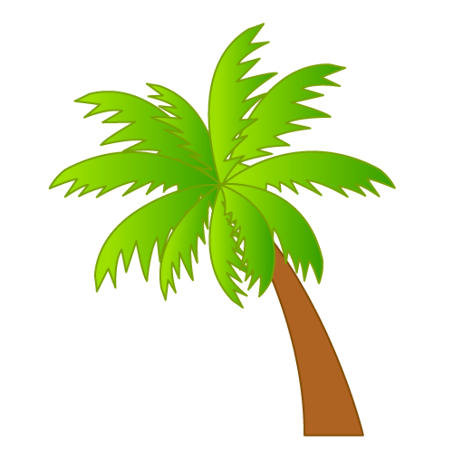 High Palm Tree Transparent PNG