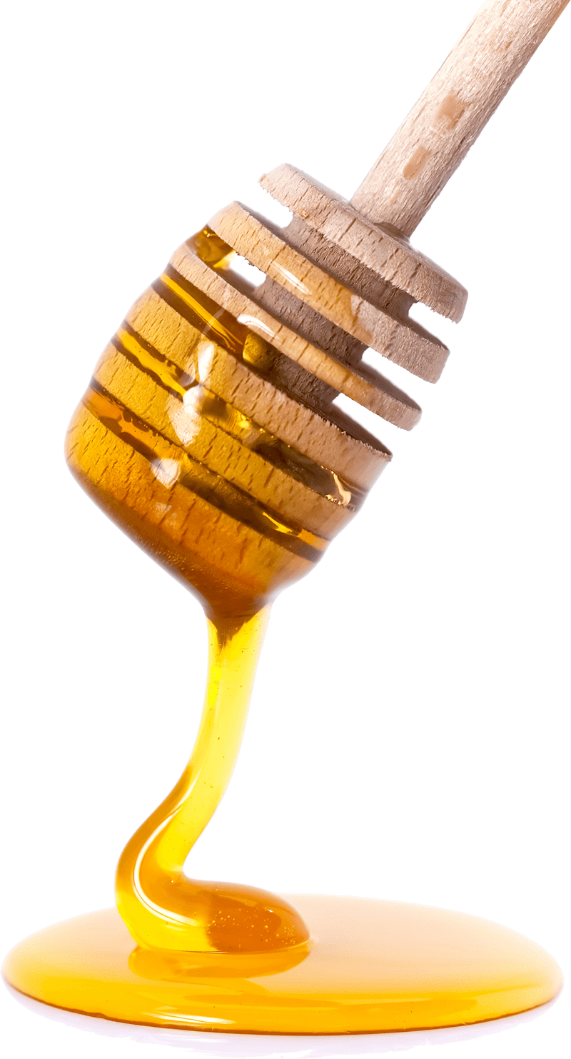 Honey Spoon Transparent Free PNG