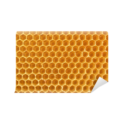 Honeycomb Free PNG