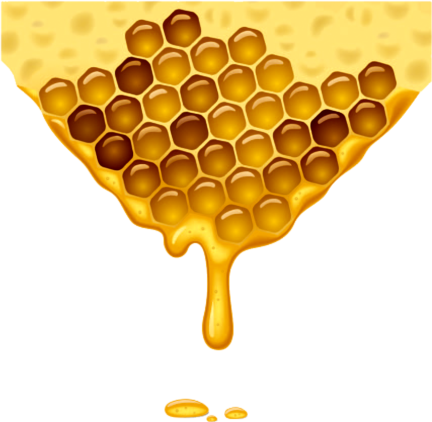 Honeycomb PNG HD Quality
