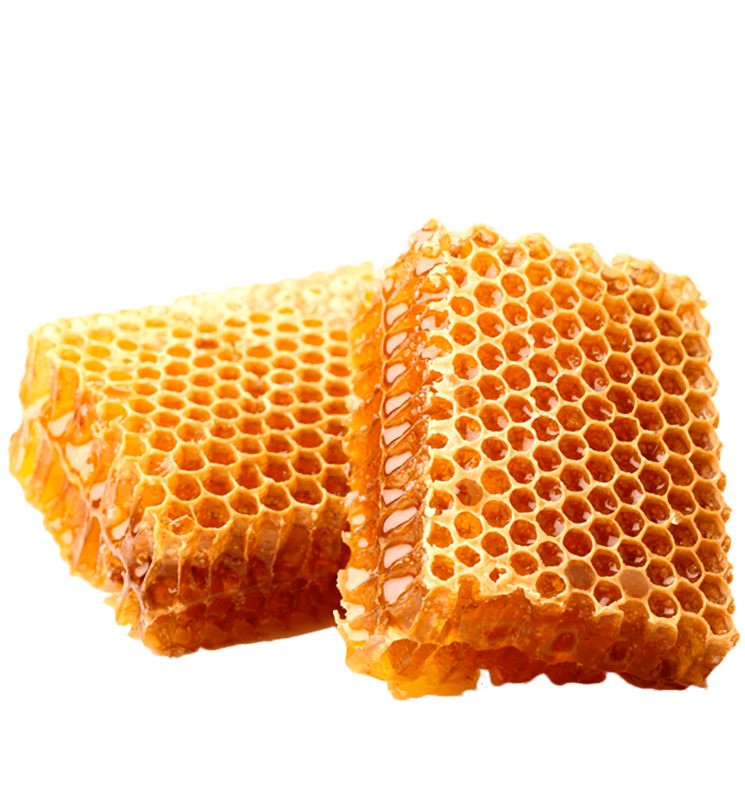 Honeycomb Transparent File