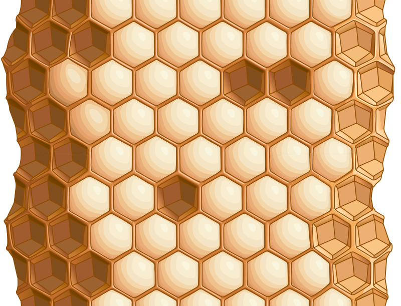 Honeycomb Transparent Free PNG