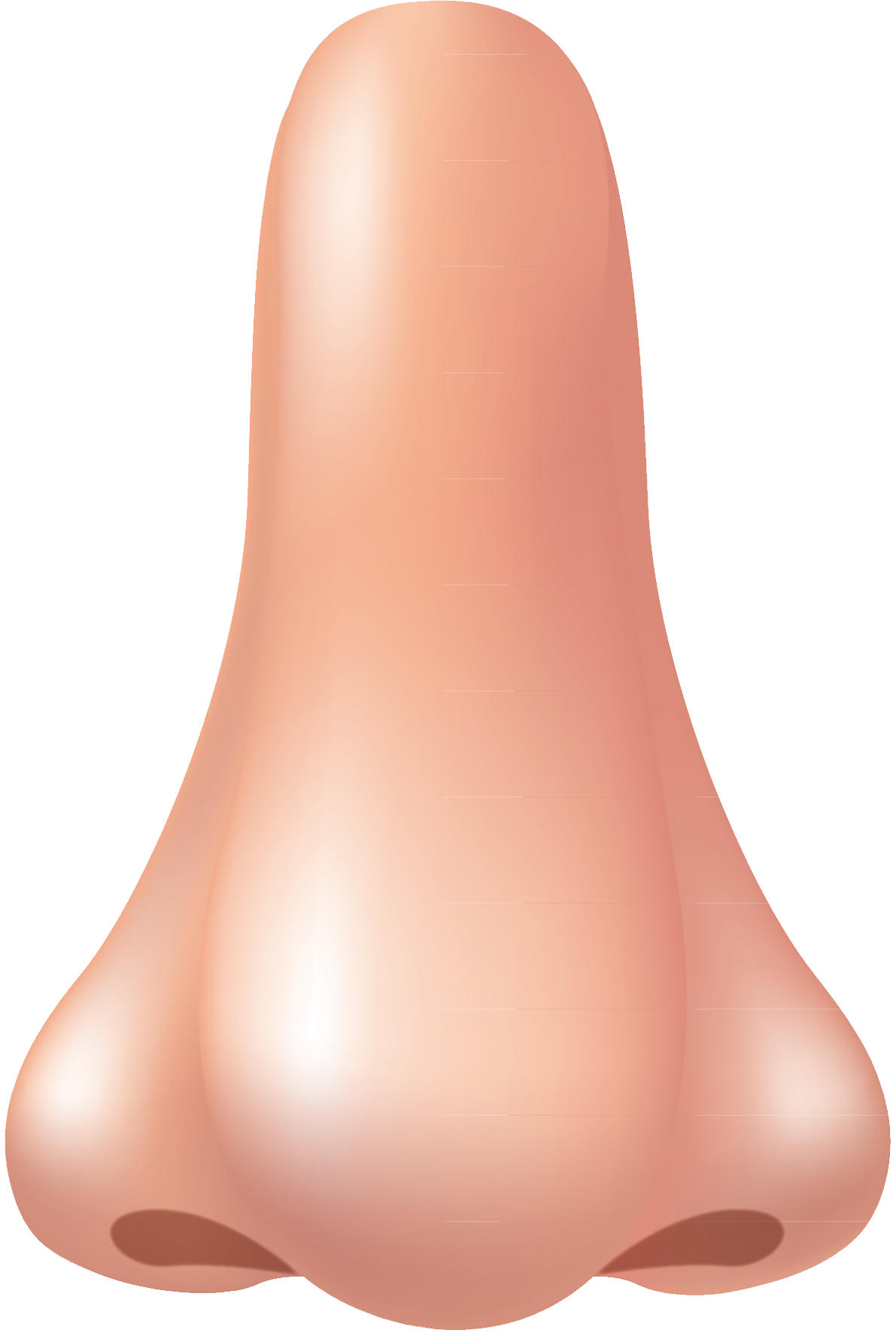 Human Nose Clipart Background PNG Image