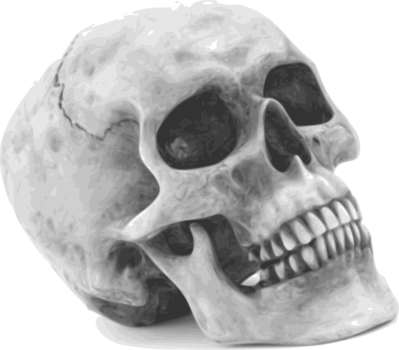 Humanskull Download Free PNG